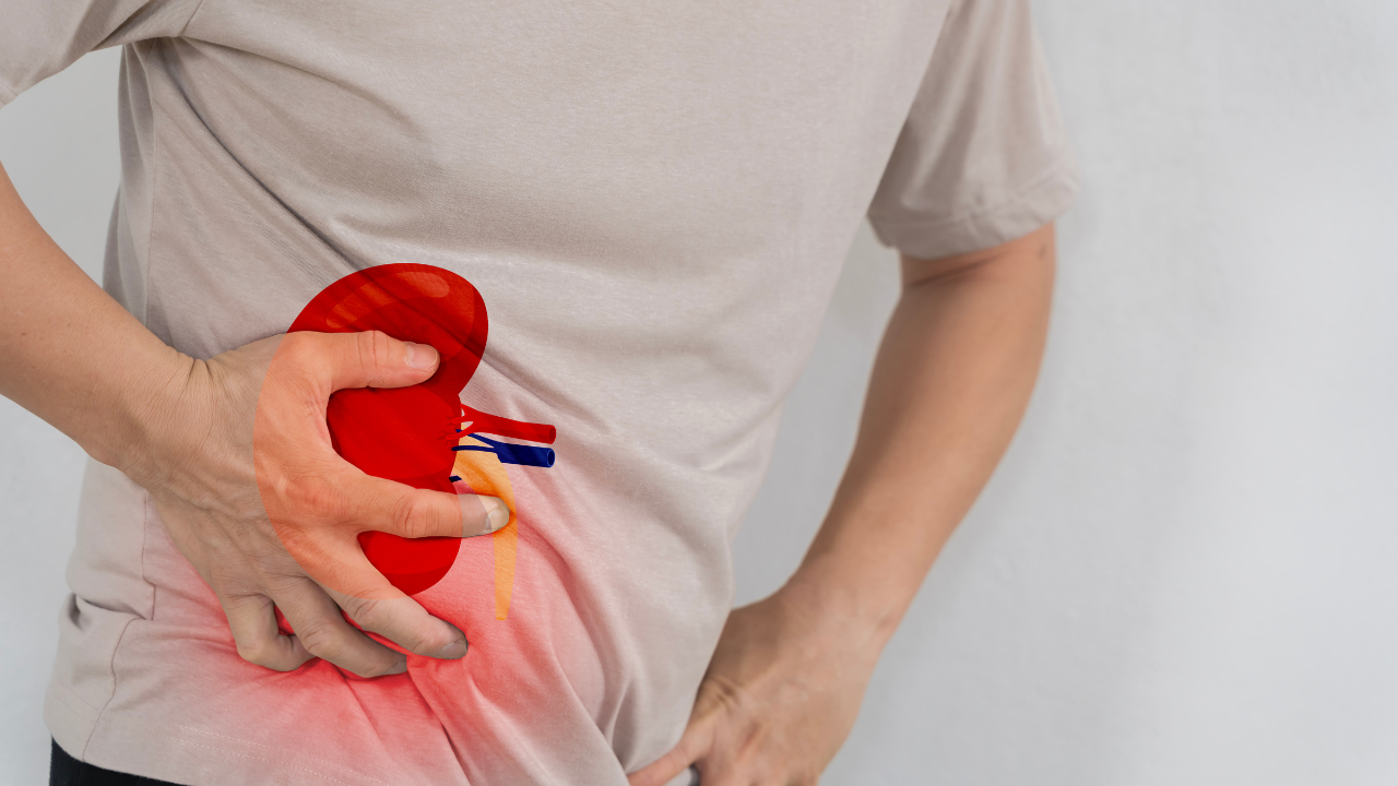 Kidney Rejuvenation Protocol