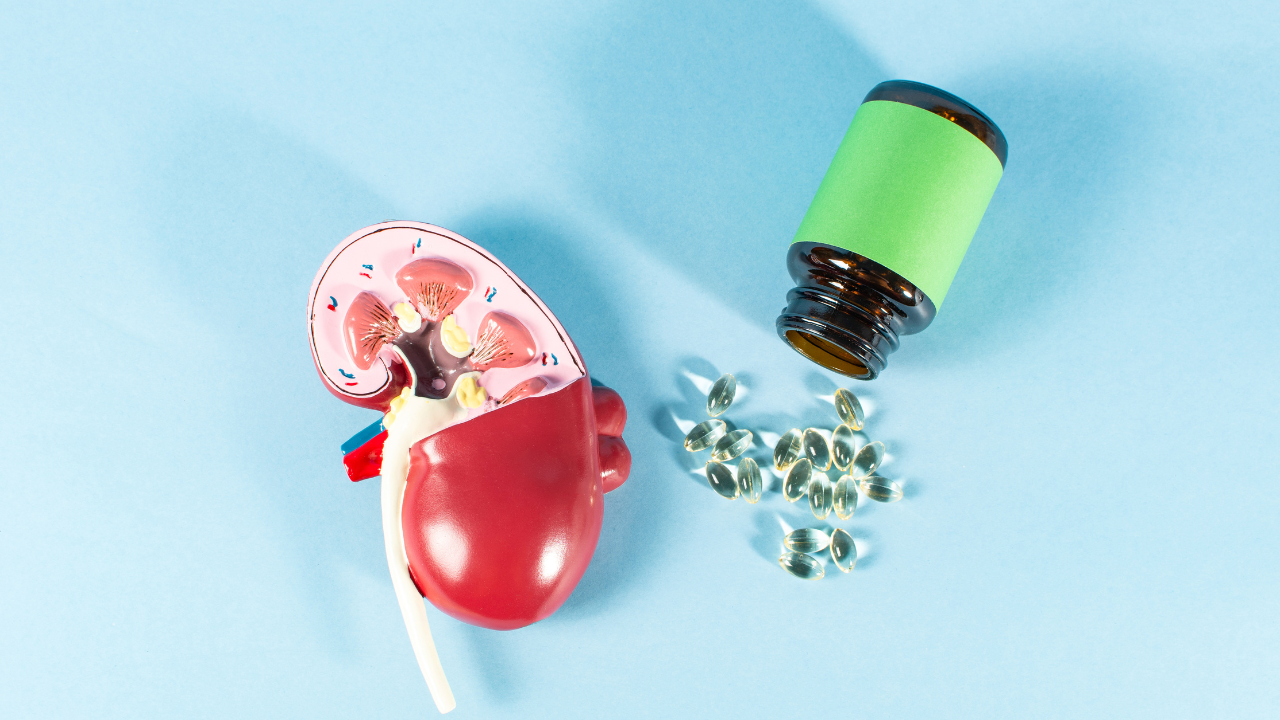Renal Diet