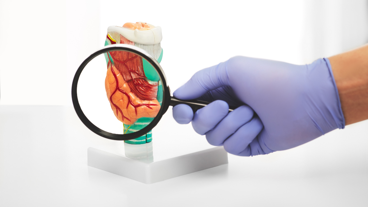 Autoimmune Root Causes